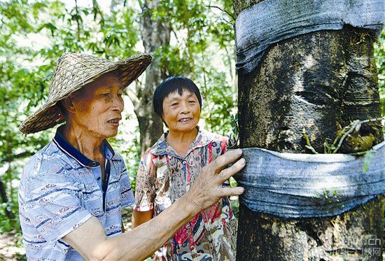 �ĸĸ��_(k��i)��40�꿴�Ї�(gu��)���E