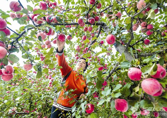 ���n���Z�� ���ʴ���ԭ