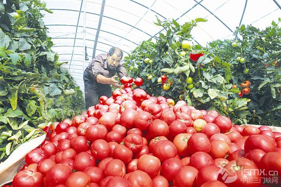 �l(xi��ng)�����d������r(n��ng)�I(y��)�ų���ɫ���衱