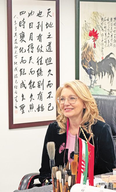 ߌʯڽܱ(bo)ӛ߲LŔz