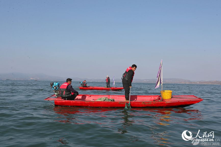 ˆTM(jn)ƯW(wng) ƽz