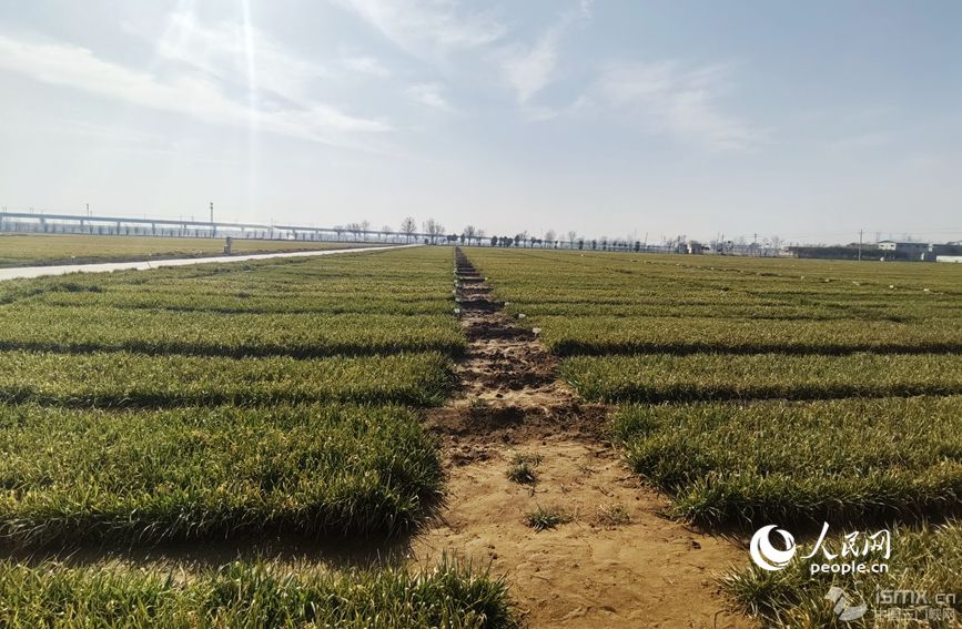 ����䓈F�ؓ؟��λ�ں���ʡ���l(xi��ng)�h�ć��ҬF(xi��n)���r�I(y��)�Ƽ�ʾ��չʾ����������W �η��Δz