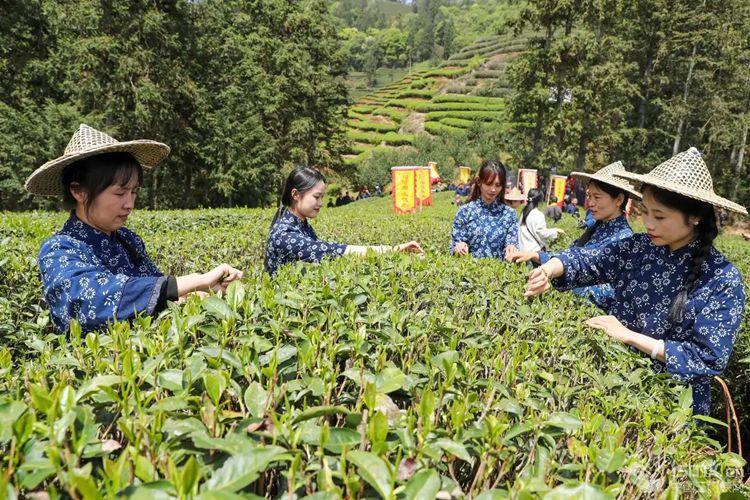 2025413գɽǴ(zhn)ꖴr(nng)B(ti)@չʾɲAl(f)Ȫ z