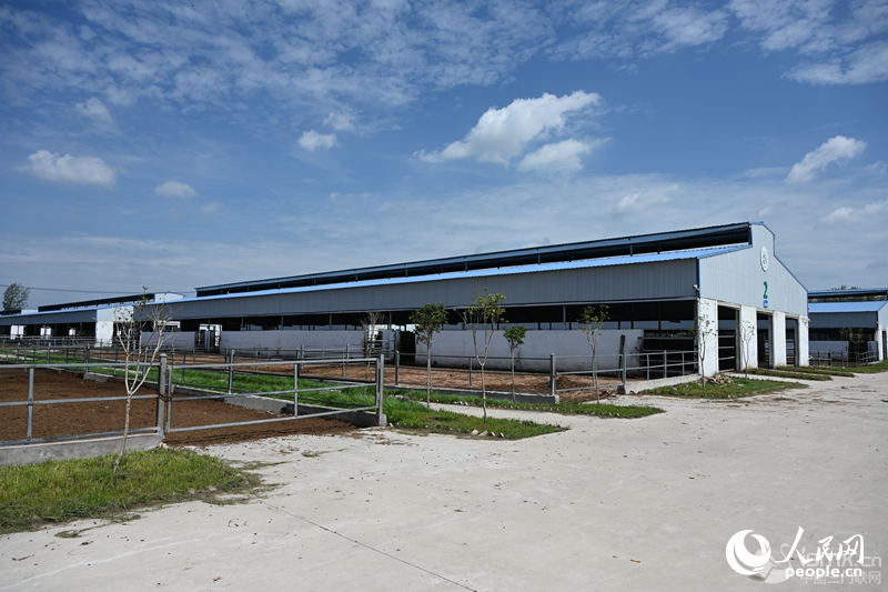 �f�����B(t��i)����ţ��������W(w��ng)ӛ�� �����d�z