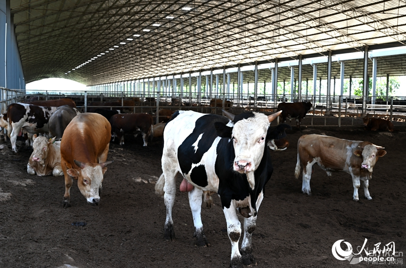 ��ڳ��f�^��ɏ?f��)����I(y��)������W(w��ng)ӛ�� �����d�z