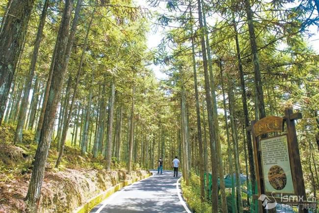 ܌hS񷼼ͥֈDԴҕ