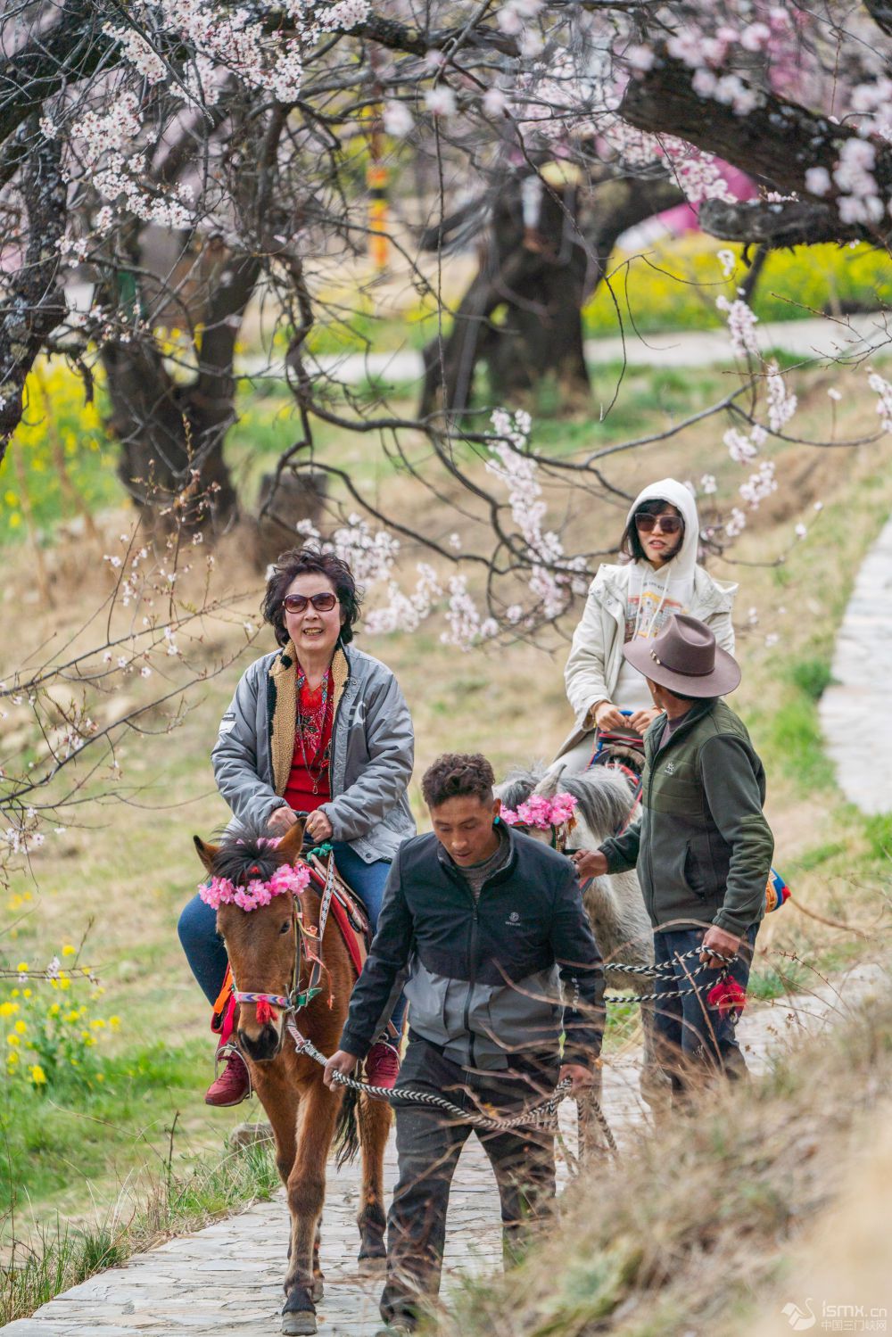 ο֥иw(yn)R^DƬ(li)Դ A