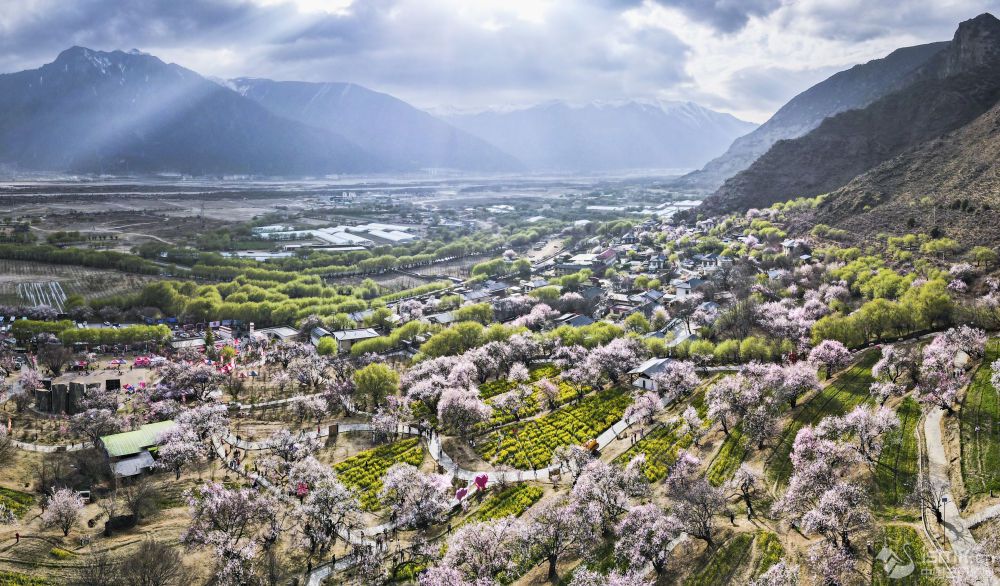 һo(w)˙C(j)Ƭoع·Qءһһ塱DƬ(li)Դ A