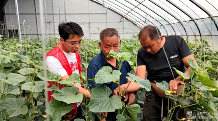 hF(xin)r(nng)I(y)Ƽʾ@߲˻ƼɆTcؓ(f)؟(z)˜ͨhƼֹD