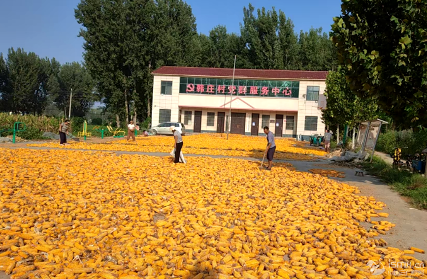 l(xing)зhl(xing)nfȺĻV(chng)Z_Ɣz