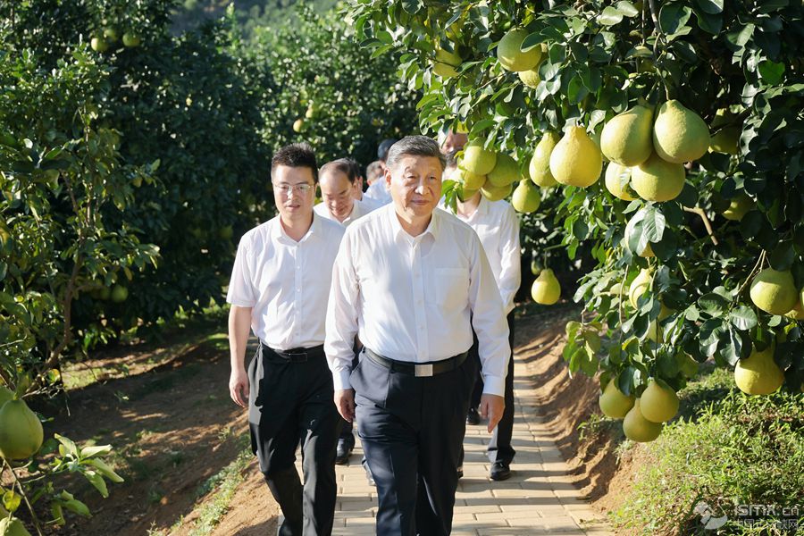 2025��11��7����8�����й����뿂��(sh��)ӛ����(gu��)����ϯ������܊ί��ϯ��(x��)��ƽ�ڏV�|���졣�@��7����������(x��)��ƽ��÷����÷�h�^(q��)�����(zh��n)�ϸ����ַNֲ���ؿ��졣���A��l(f��)��Ф� �z��